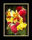 red fruit mingled with yellow flowers thumbnail